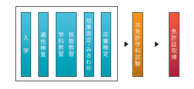 入校から免許取得までの流れ