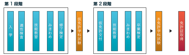 入校から免許取得までの流れ